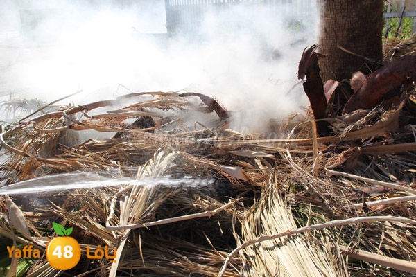 fire 7ekma 0212 (2).JPG